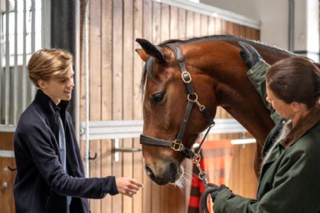 Viden og forebyggelse kan reducere hestes lidelser