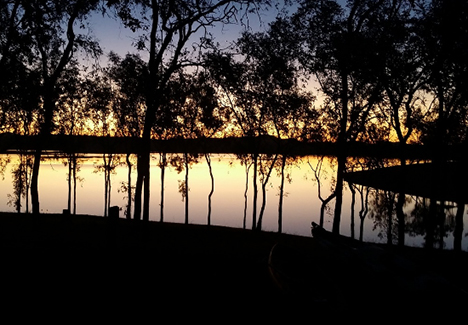Oplev Aalborgs unikke natur