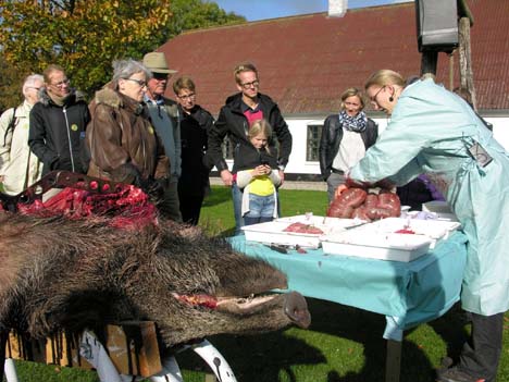 Efterårsferien bliver både sjov og lærerig