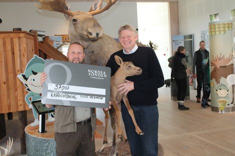 Fem nye elge til Lille Vildmose