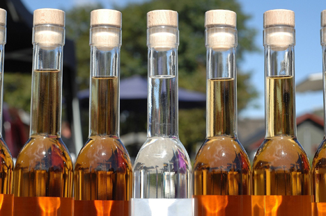 Bær og bjesk i Lille Vildmose