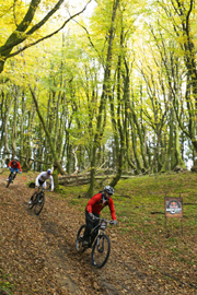 Ræven Simon Andreassen blev sluppet løs