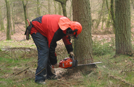 Audi med ny, yderst effektiv 2.0 TFSI motor