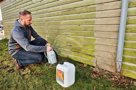 Aalborgensisk fagmand: Sådan gør du træværket forårsparat