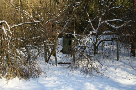 Se hemmelige steder på nettet