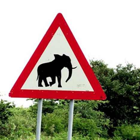 Elefanter er en mulighed i Lille Vildmose