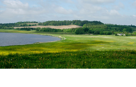 Tre frivillige søsætter projekt om Limfjorden