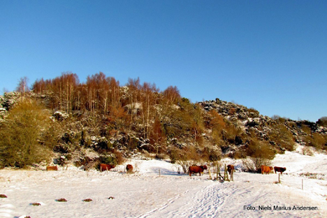 Med Winter Sport 5 lader Dunlop ikke vinteren stå i vejen