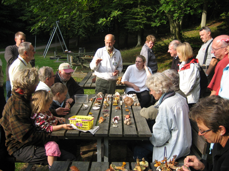 Kom til svampedag på Lille Vildmosecentret