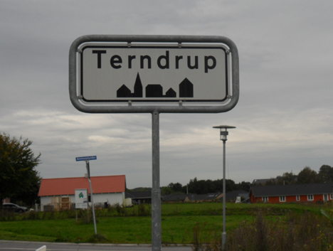 Regionen vil undersøge omstridt grund i Terndrup for kviksølv