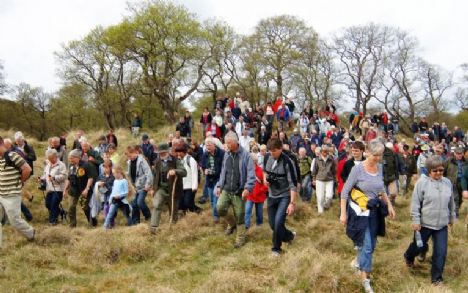 Kom med ind i den lukkede Tofte Skov