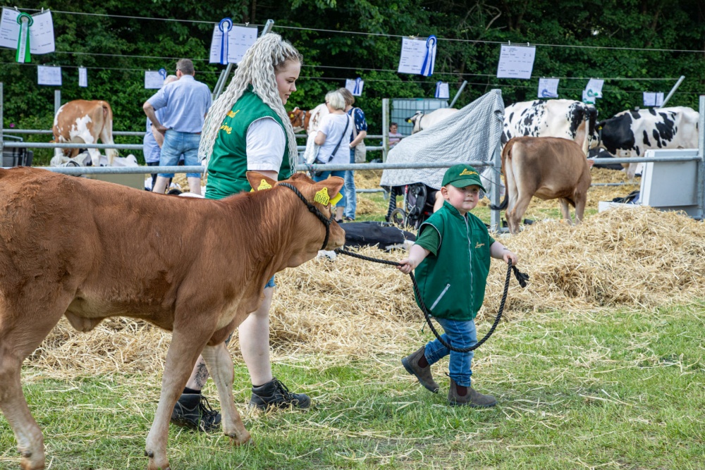 Folk fra nær og fjern valfartede til Dyrskue i Hobro