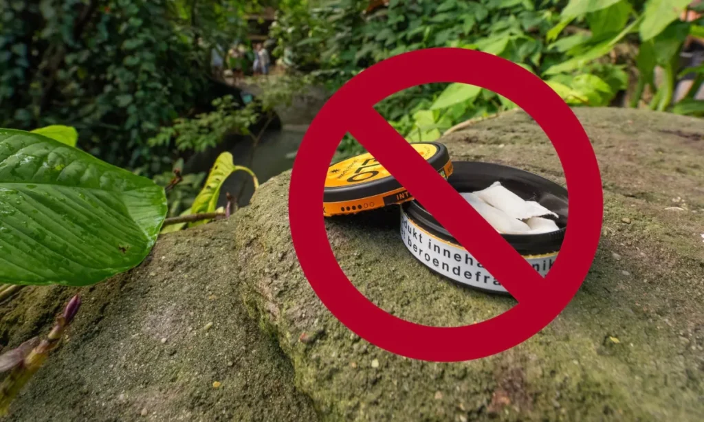 Randers Regnskov rystet: Livsfarligt fund – åbnede snusdåser sat frem blandt dyrene