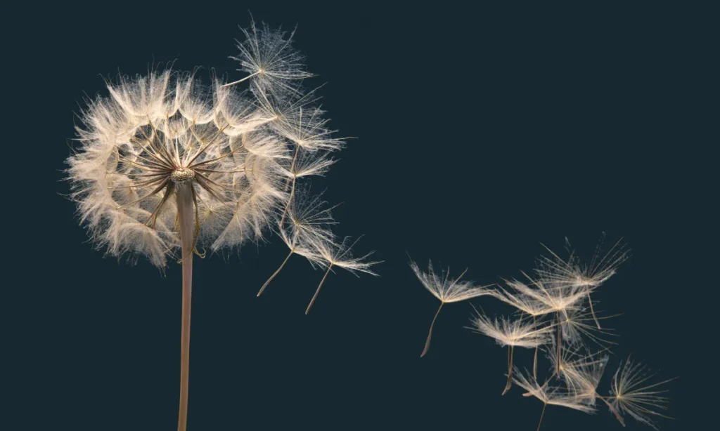 Når minderne falmer, må vi stå stærkt – Støt mennesker med demens til Landsindsamlingen 2025 på søndag