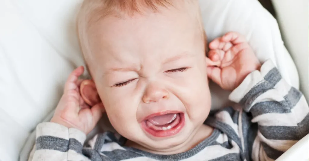 Fra bananfluer til babygråd: Villum Fonden støtter vilde forskningsidéer