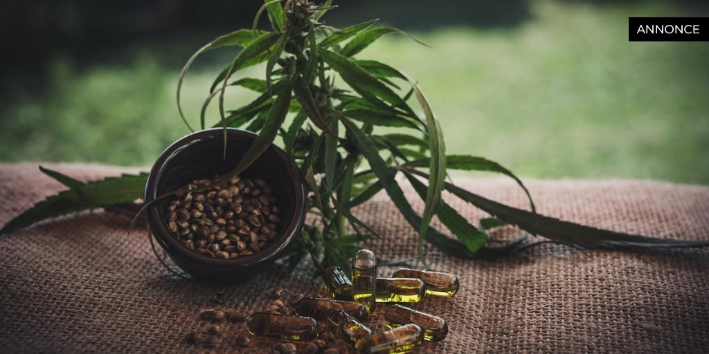 Alt du behøver at vide om cbd danmark og cannabidiol produkter