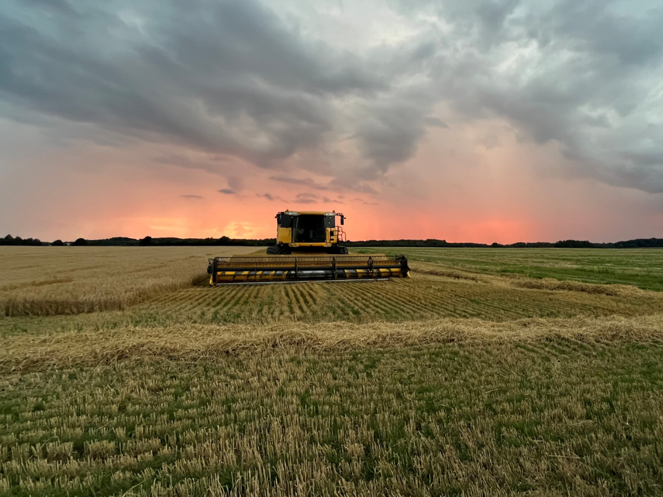Dansk landbrug står til et økonomisk rekordår i 2025 – men prisfald og nye krav bekymrer for 2026