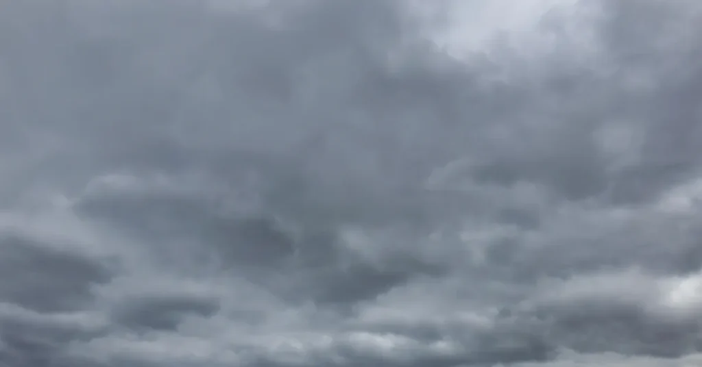 Dagens vejr: Byder på både frost og tørvejr – mulighed for lidt sol i løbet af dagen