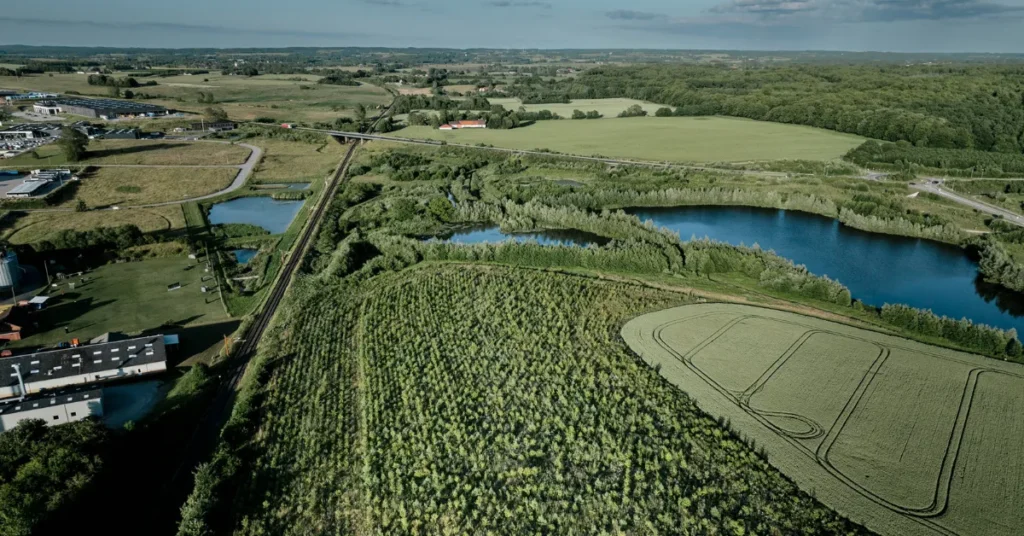 Klimaskovfonden får 400 millioner: Skal købe mere landbrugsjord til ny skov og natur