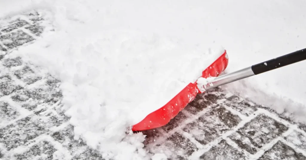 Drop vejsaltet: Sådan rydder du sne uden at skade have, fliser og hundepoter