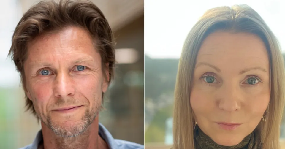 Ny forskning: 14 psykiske lidelser deler genetiske rødder